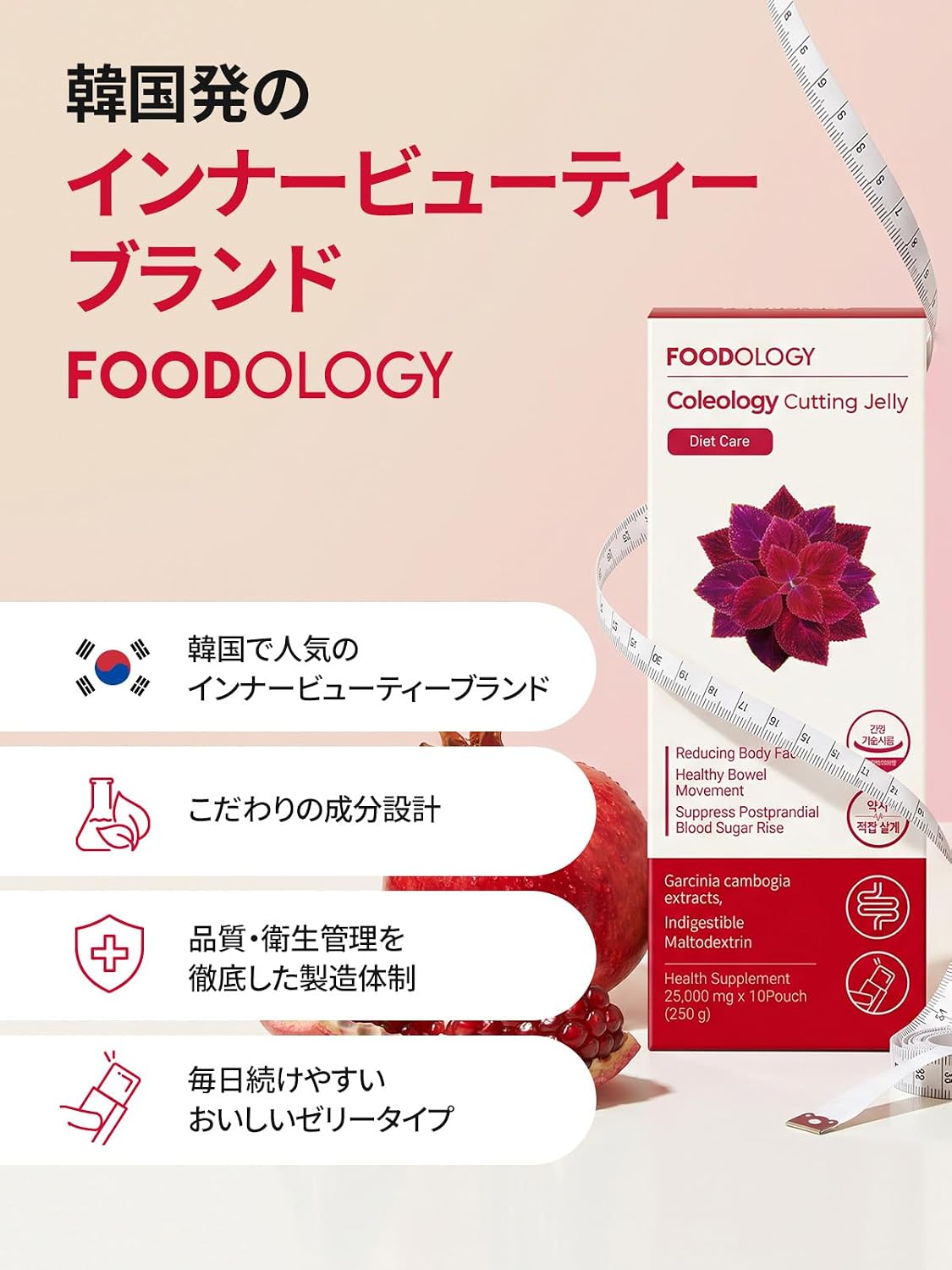 FOODOLOFYカットゼリー 10本